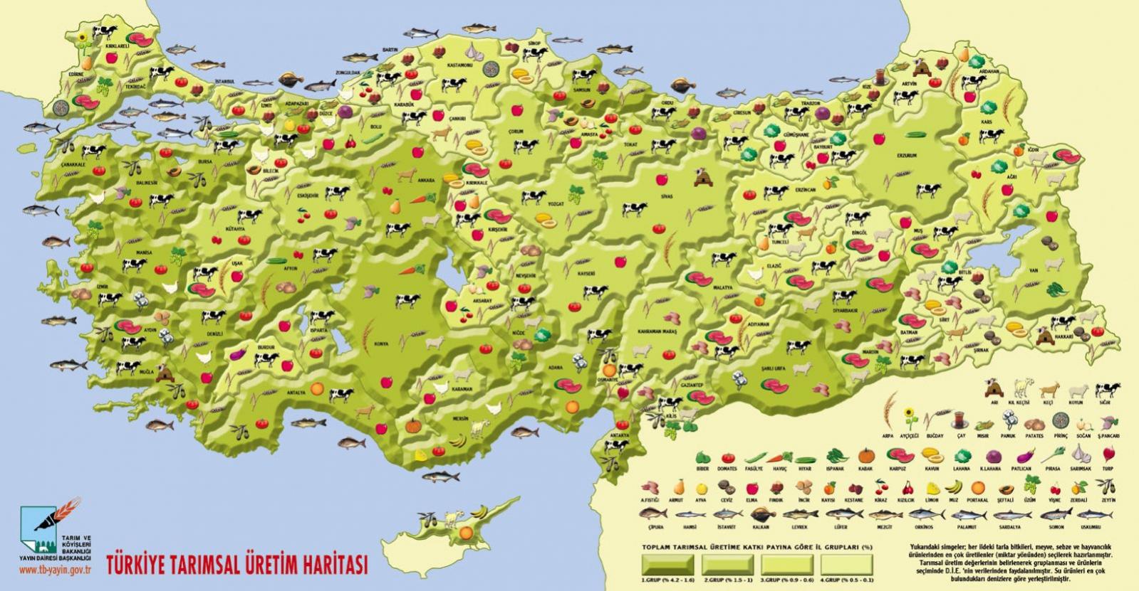 Türkiye Tarımsal Üretim Haritası
